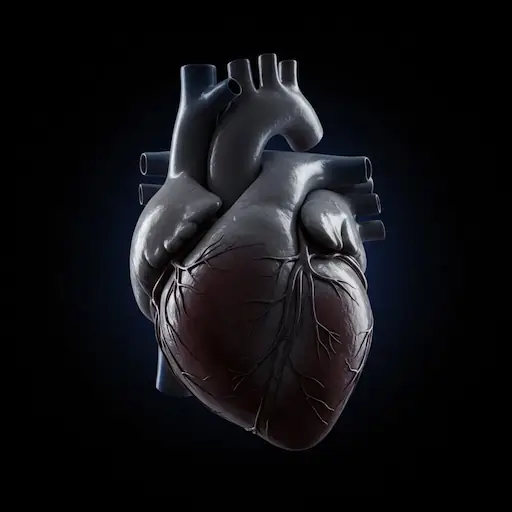 La electricidad en el corazón y su importancia en nuestras emociones